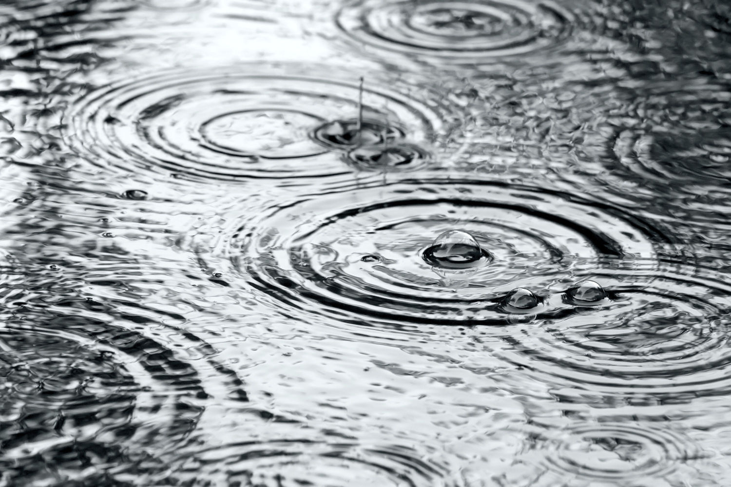 Rain puddle